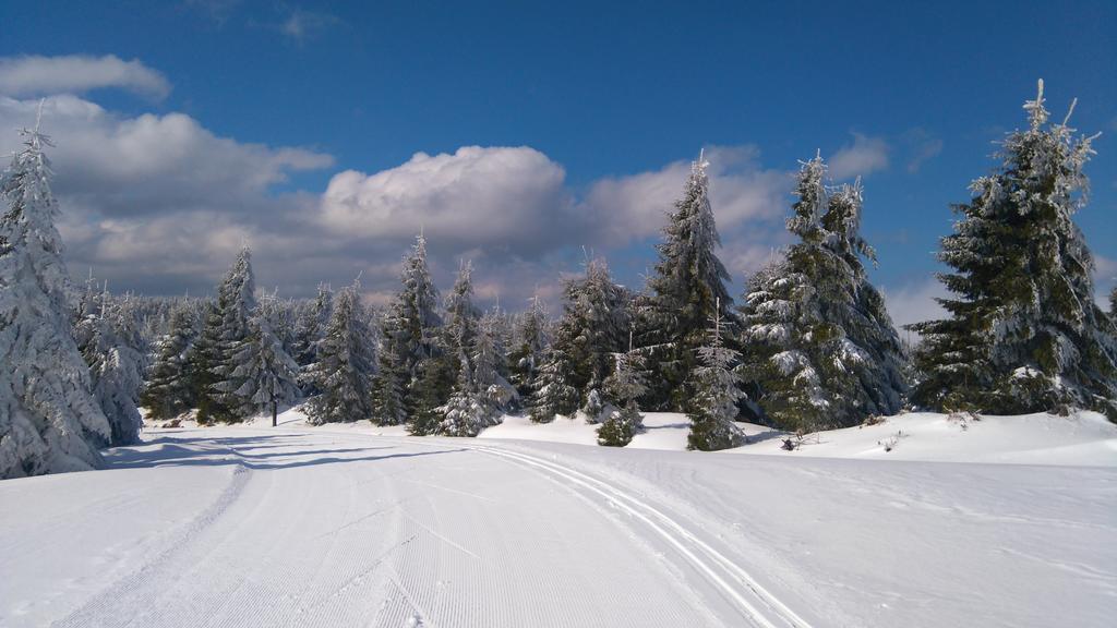 Pension Ploc Harrachov Exterior foto